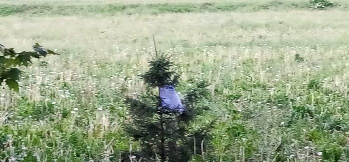 UNA BURLA BERGAMASCA