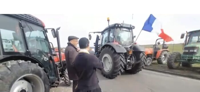 LAZZARI EUROPEI E VANDEA